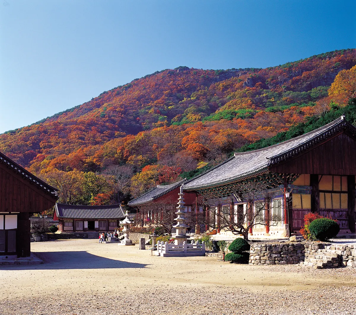 Seonunsa · temple courtyard and autumn hillside