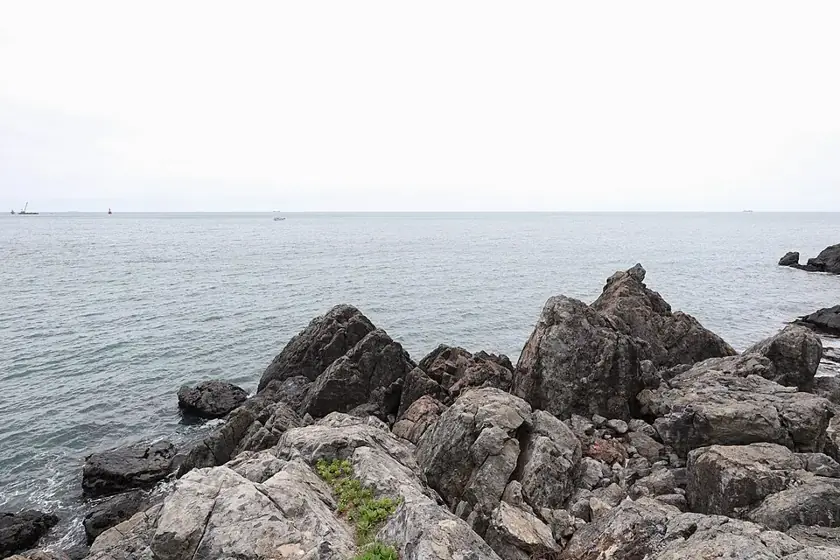 Rocky shore of Dongbaekseom