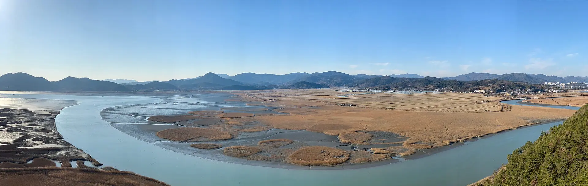 Suncheon Bay's winter channels