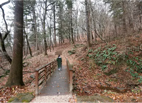 Wooden bridge