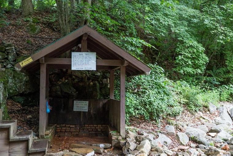 Sambong National Recreational Forest