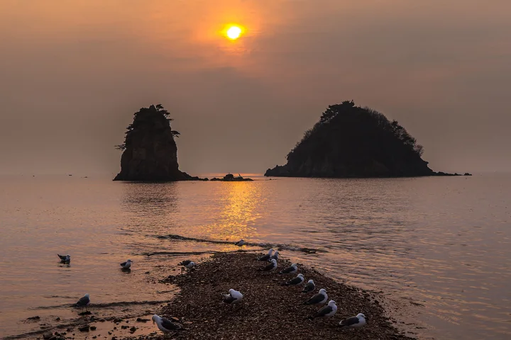 The setting sun glows above the two rocky islets at Kkotji Beach on Anmyeondo, with seabirds along the shore.