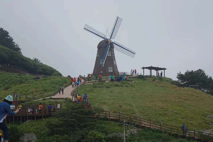 Visitors follow wooden paths up a green slope toward the windmill at Windy Hill on Geoje Island.