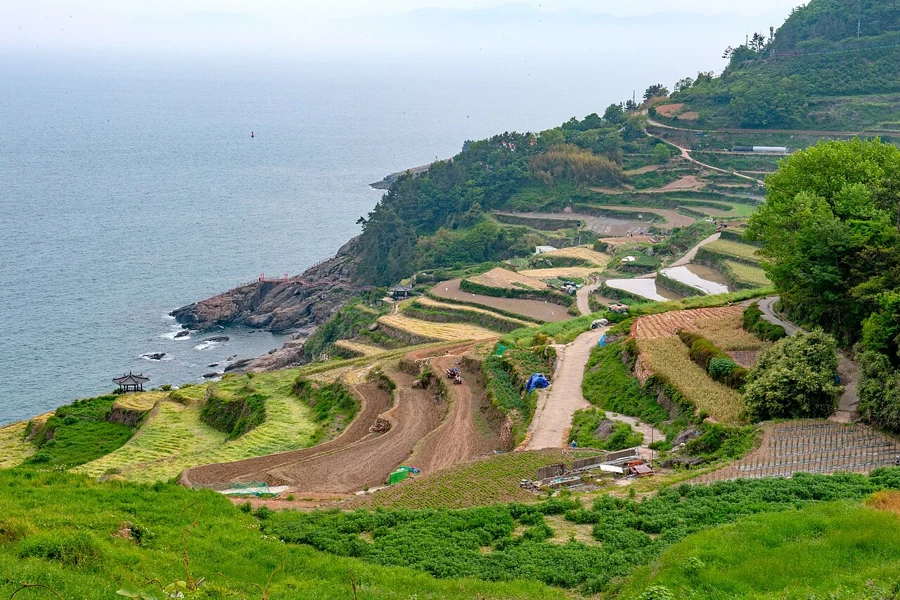 The curved rice terraces of Gacheon Village descend toward the coast on Namhae Island.