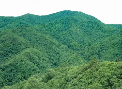 Daeamsan protected landscape