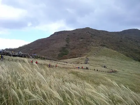 Silver grass on Sinbulsan