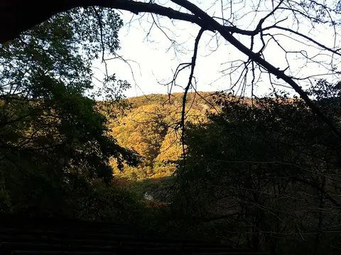 Autumn woodland on Soyosan