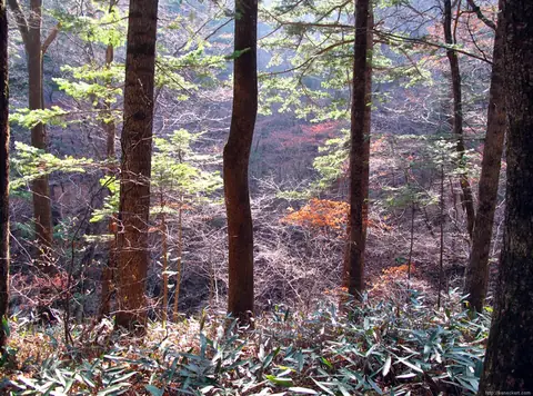 Odaesan in autumn