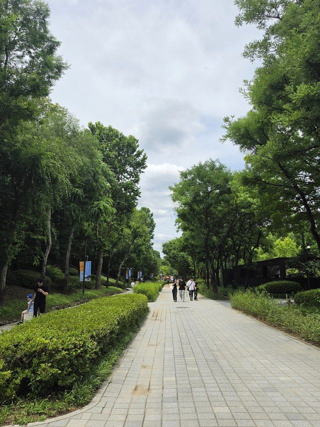 Walking path in Seoul Forest