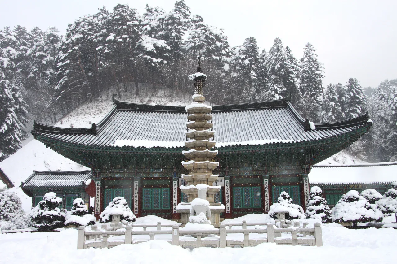 Snow-covered Woljeongsa · 2013-01-24