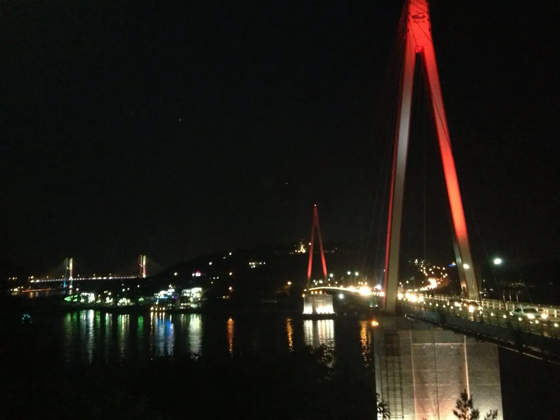 Yeosu bridge lights · archive view