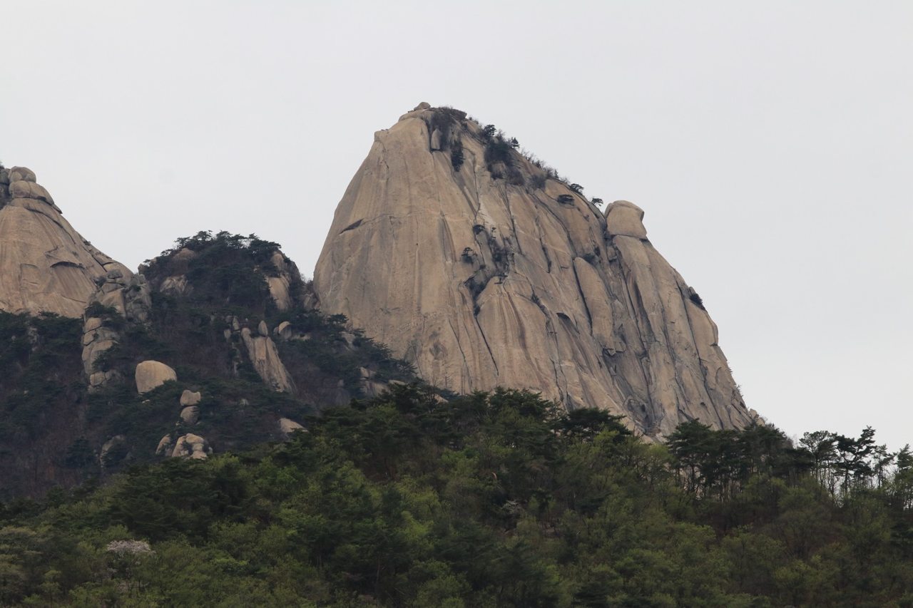 Insubong granite monolith above spring forest