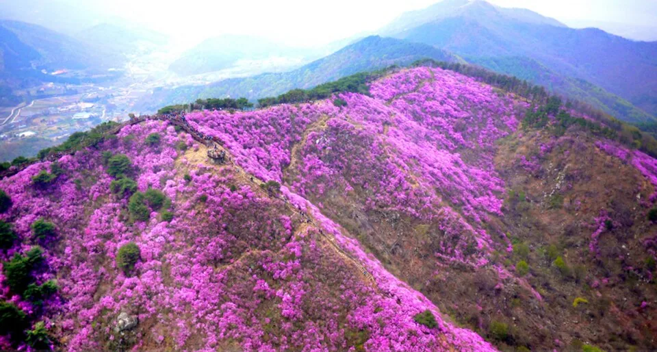 Goryeosan area